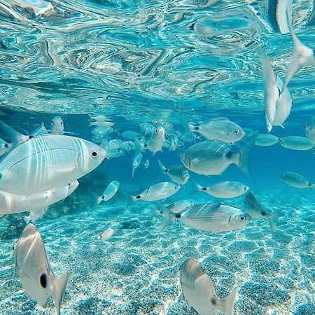 شقة El Playaiso De Aguamarga أغوا امارجا المظهر الخارجي الصورة